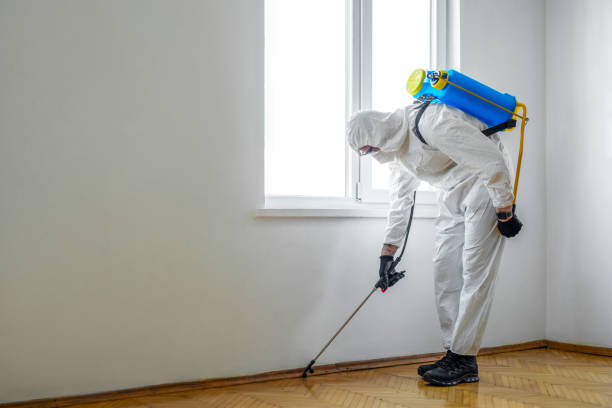 Professional Pest Control in Vilonia, AR